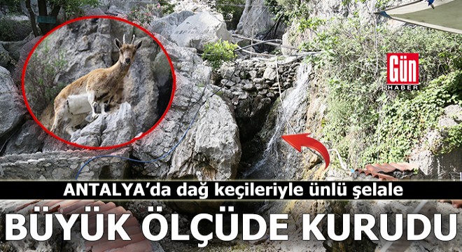 Antalya'da dağ keçileriyle ünlü şelalede 'kuraklık' tehlikesi