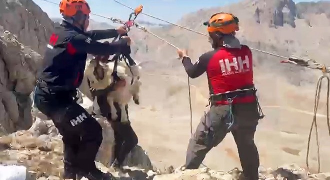 Antalya'da dağlık alanda mahsur kalan 5 keçi kurtarıldı