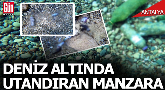 Antalya'da deniz altında utandıran manzara