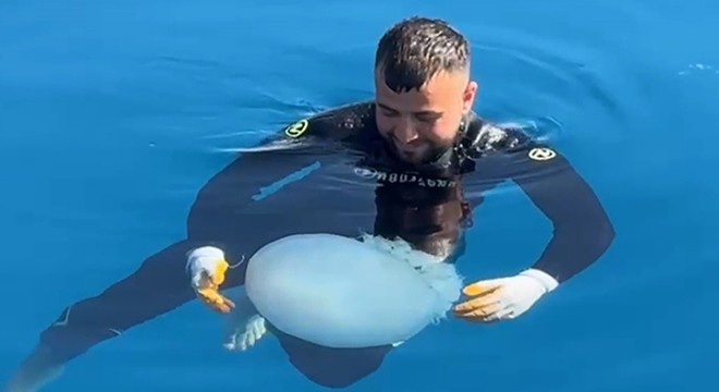 Antalya'da denizanasıyla dans