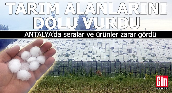 Antalya'da dolu tarım alanlarını vurdu, seralar ve ürünler zarar gördü