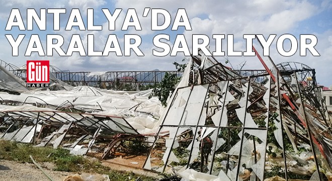 Antalya'da dolu ve hortum sonrası yaralar sarılıyor