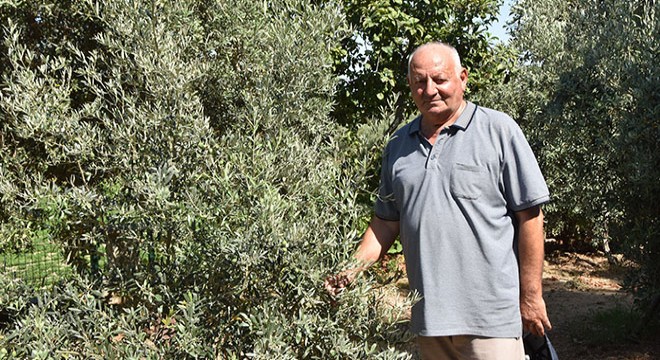 Antalya'da emekli öğretmen, ağaçlarının kurumasından korkuyor