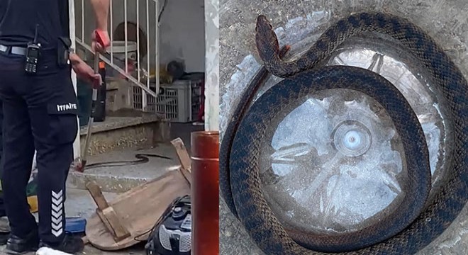 Antalya'da eve giren yılanı itfaiye çıkardı