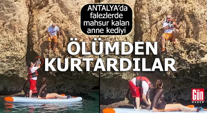 Antalya'da falezlerde mahsur kalan anne kediyi kurtardılar