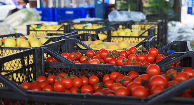 Antalya'da ihracatın yüzde 61'i tarım sektöründen