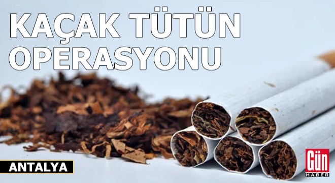 Antalya'da kaçak tütün operasyonu