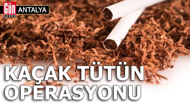 Antalya'da kaçak tütün operasyonu