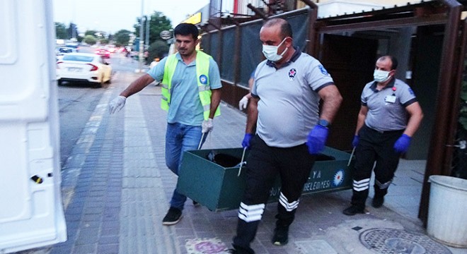 Antalya'da kaldığı merkezde ölü bulundu