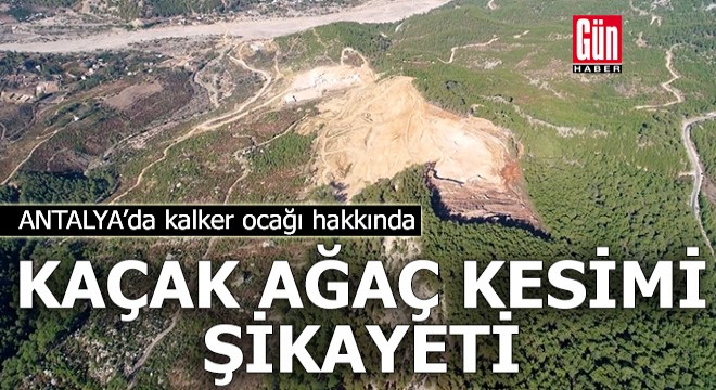 Antalya'da kalker ocağı hakkında kaçak ağaç kesimi şikayeti