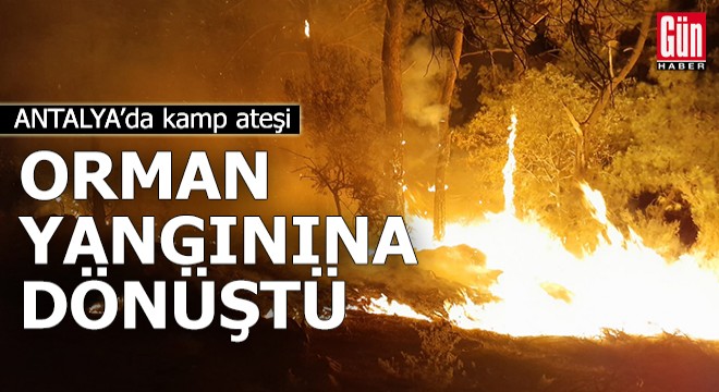 Antalya'da kamp ateşi orman yangınına dönüştü
