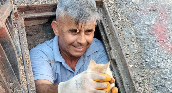 Antalya'da kanalizasyona düşen kedi kurtarıldı