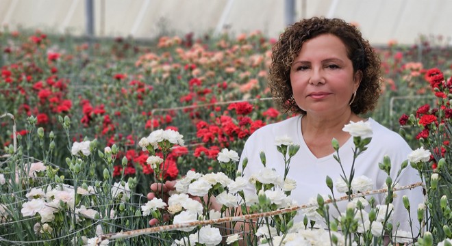 Antalya'da karanfilde fusarium hastalığına karşı yerli tür