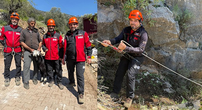Antalya'da kayalıkta mahsur kalan keçiler kurtarıldı