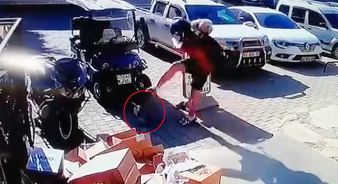 Antalya'da kediyi tekmeledi, tutuklandı