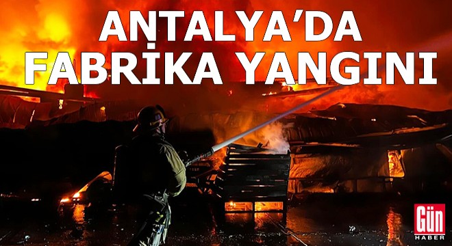 Antalya'da kereste fabrikasında yangın