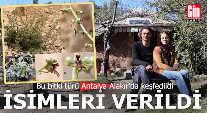 Antalya'da keşfedilen bitki türüne o çiftin isimleri verildi