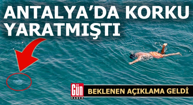 Antalya'da korku ve paniğe neden oldu