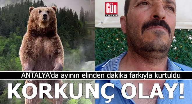 Antalya'da korkunç olay! Ayının elinden dakika farkıyla kurtuldu