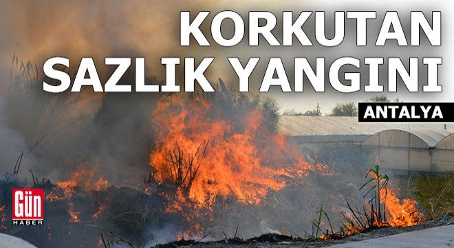 Antalya'da korkutan sazlık yangını