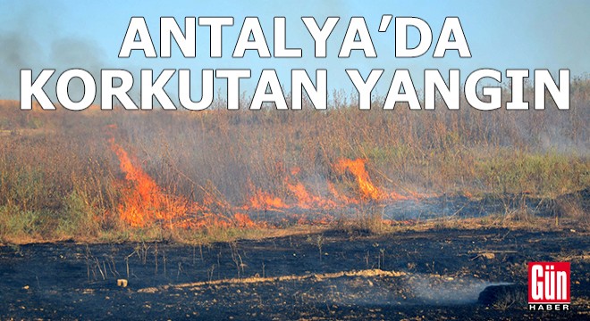 Antalya'da korkutan yangın!