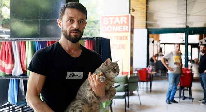 Antalya'da kuaför çırağı, iş yeri sahibinin kedisini darbetti
