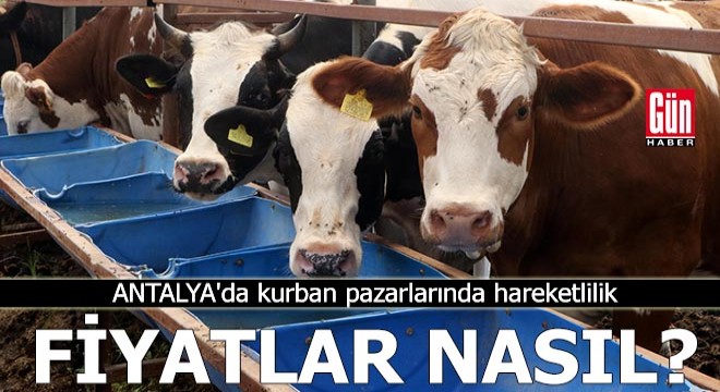 Antalya'da kurban pazarlarında hareketlilik