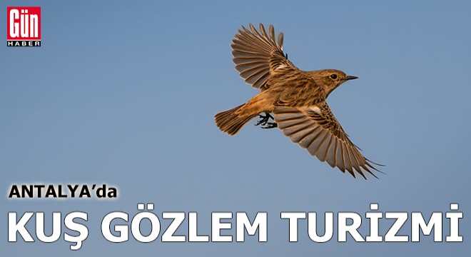 Antalya'da kuş gözlem turizmi