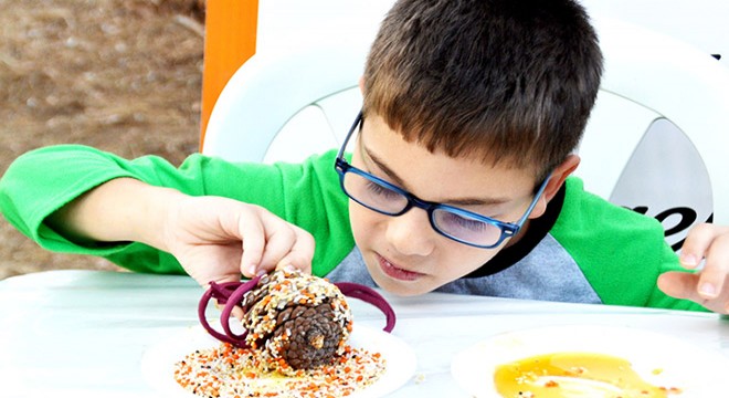 Antalya'da kuşları beslemeyi öğrendiler