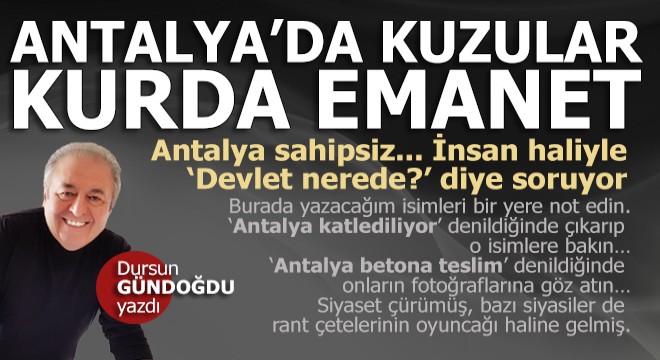 Antalya'da kuzular kurda emanet