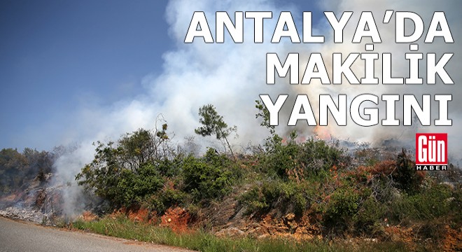 Antalya'da makilik yangını