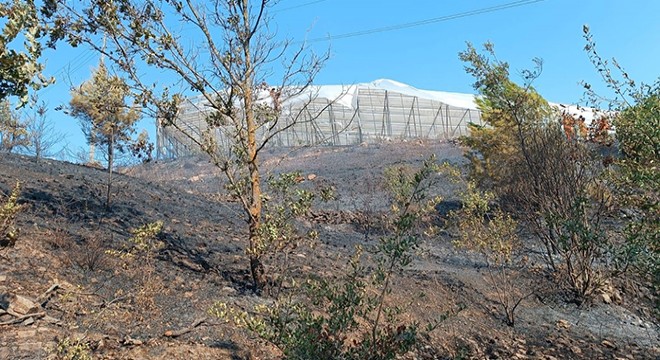 Antalya'da makilik yangınları büyümeden söndürüldü