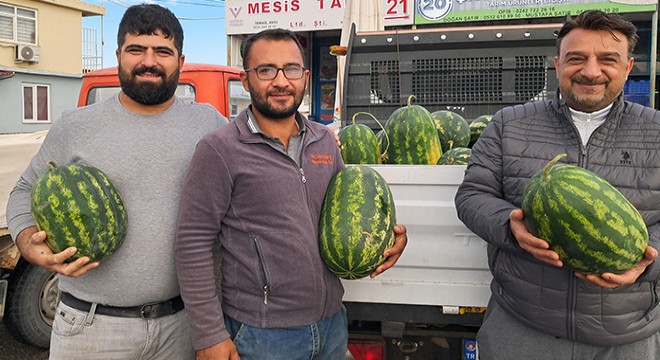 Antalya'da mevsimin ilk karpuzu hale girdi