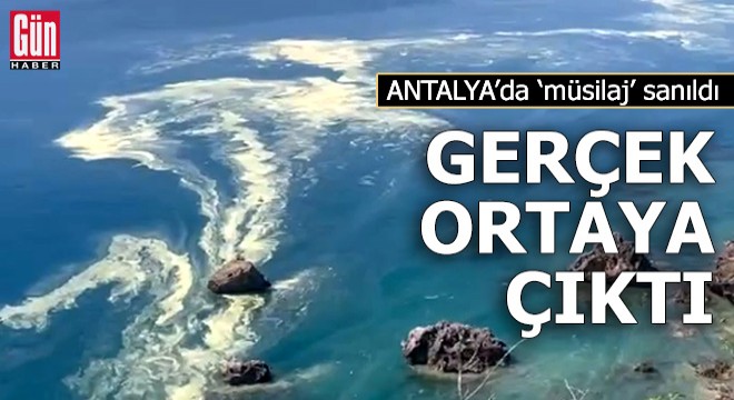 Antalya'da 'müsilaj' sanıldı, gerçek ortaya çıktı