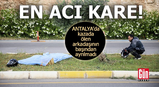Antalya'da ölen arkadaşının cansız bedeninin başından ayrılmadı