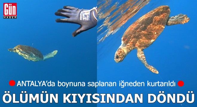 Antalya'da ölümün kıyısından döndü