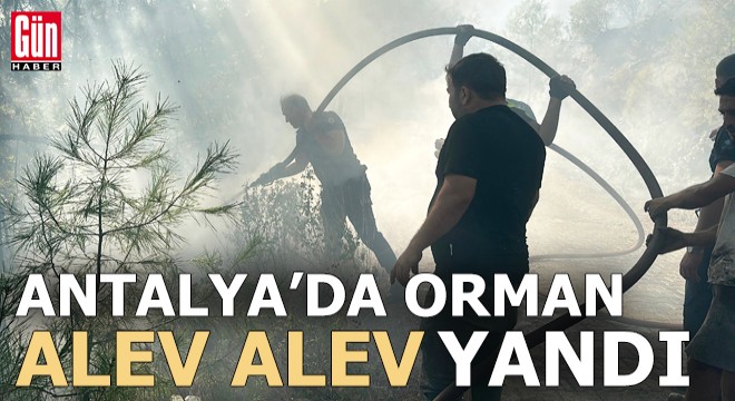Antalya'da orman alev alev yandı