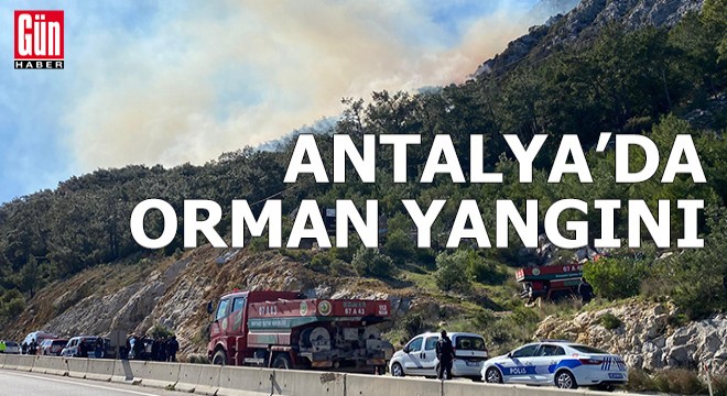 Antalya'da orman yangını