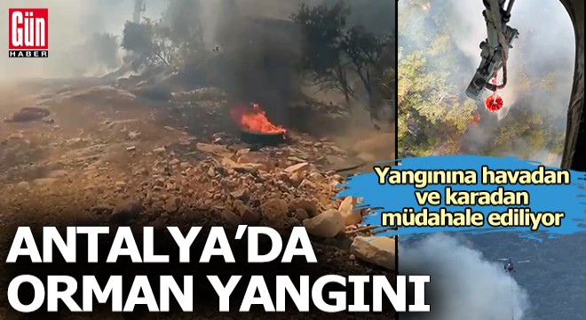 Antalya'da orman yangını