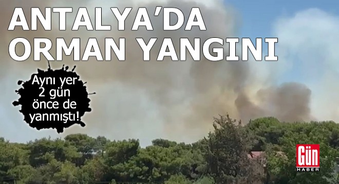 Antalya'da orman yangını