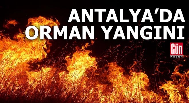 Antalya'da orman yangını