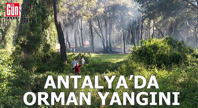 Antalya'da orman yangını