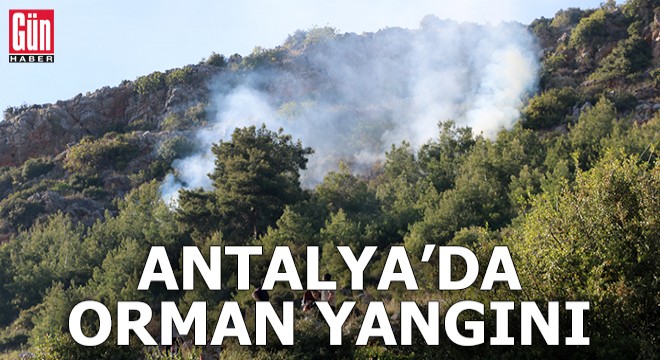 Antalya'da orman yangını
