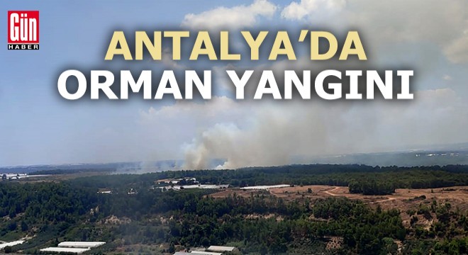 Antalya'da orman yangını