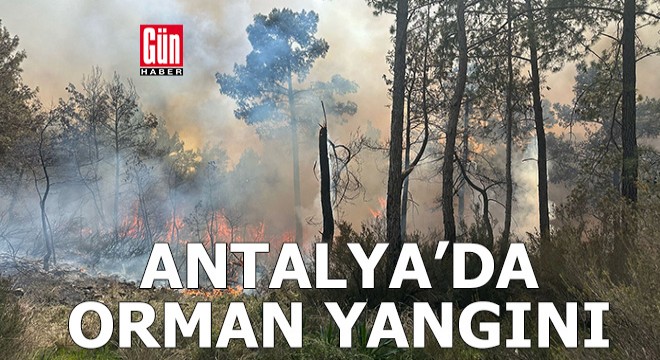 Antalya'da orman yangını