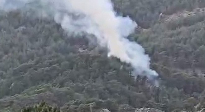 Antalya'da orman yangını