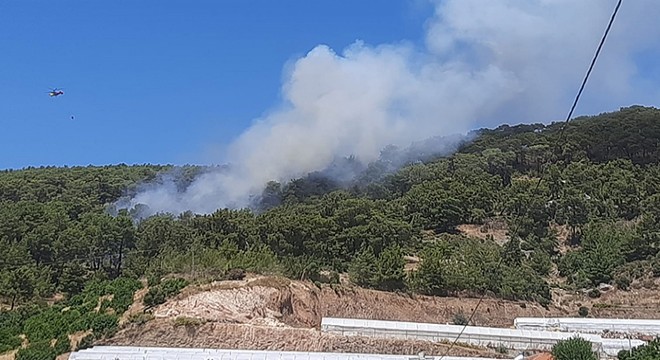 Antalya'da orman yangını