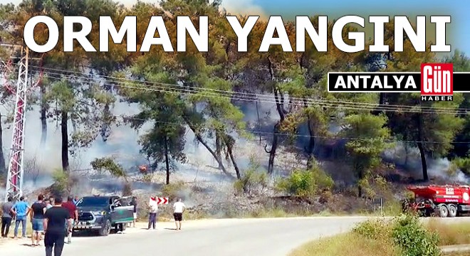 Antalya'da orman yangını