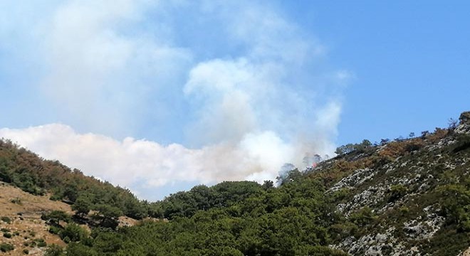 Antalya'da orman yangını