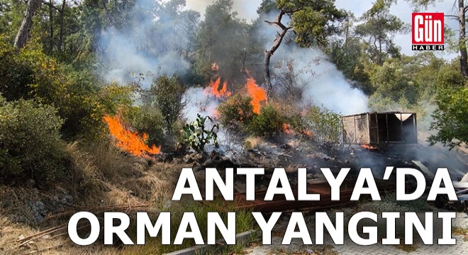 Antalya'da orman yangını